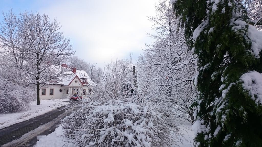 Dwor Osmolice Bed & Breakfast Bialki Dolne Eksteriør bilde