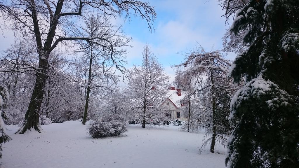Dwor Osmolice Bed & Breakfast Bialki Dolne Eksteriør bilde